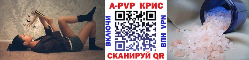 A PVP СК  Сосновоборск 