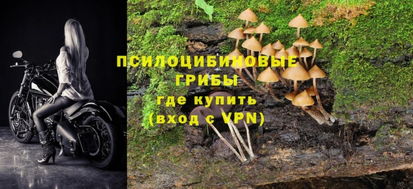 амф Алзамай