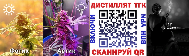 OMG как войти  закладка  Сосновоборск  Дистиллят ТГК THC oil 