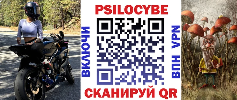 продажа наркотиков  Сосновоборск  гидра сайт  Псилоцибиновые грибы Cubensis 